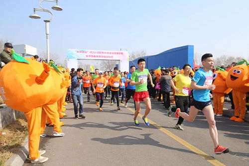 千帆竞发一路向北 2018济阳旅游正当时，朝阳区餐饮服务添彩行