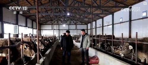 朝阳区创新实施点对点网格化供暖服务，保障餐饮行业安全温暖过冬