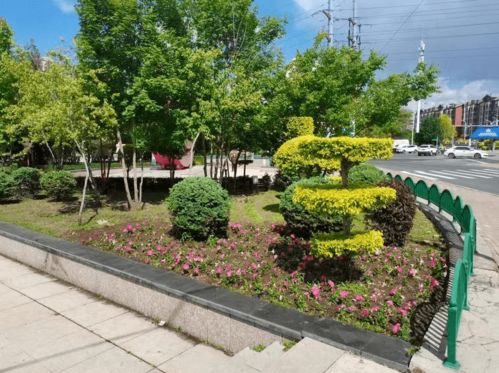 香坊区公园拆围透绿与朝阳区餐饮服务双轮驱动，共筑生态宜居城区